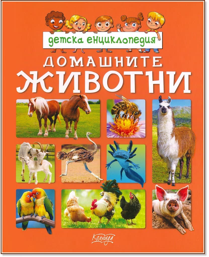 Корица на „Детска енциклопедия: Домашните животни"
