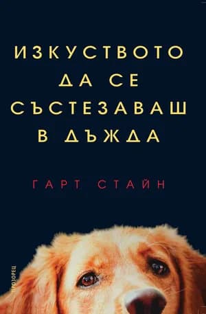 Корица на „Изкуството да се състезаваш в дъжда“, Гарт Стайн