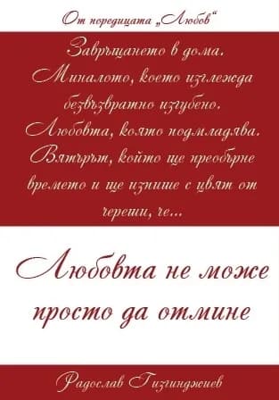 Корица на „Любов кн. 1: Любовта не може просто да отмине" — Радослав Гизгинджиев
