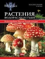 Корица на „Растения, водорасли, гъби - том 2“
