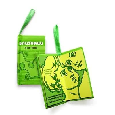 Корица на „Близнаци"
