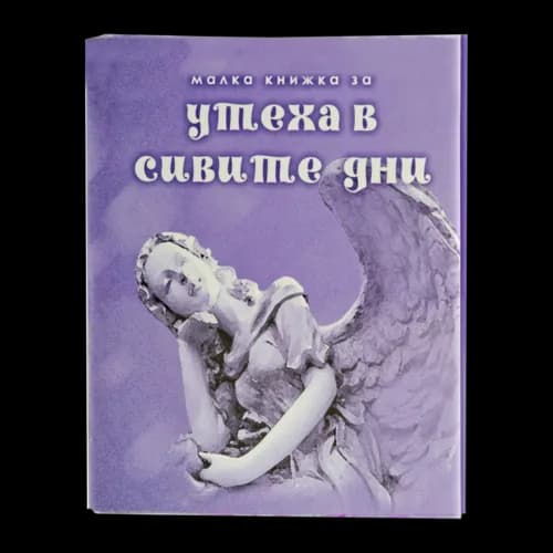 Корица на „Малка книжка за утеха в сивите дни“, Александър Петров - съставител