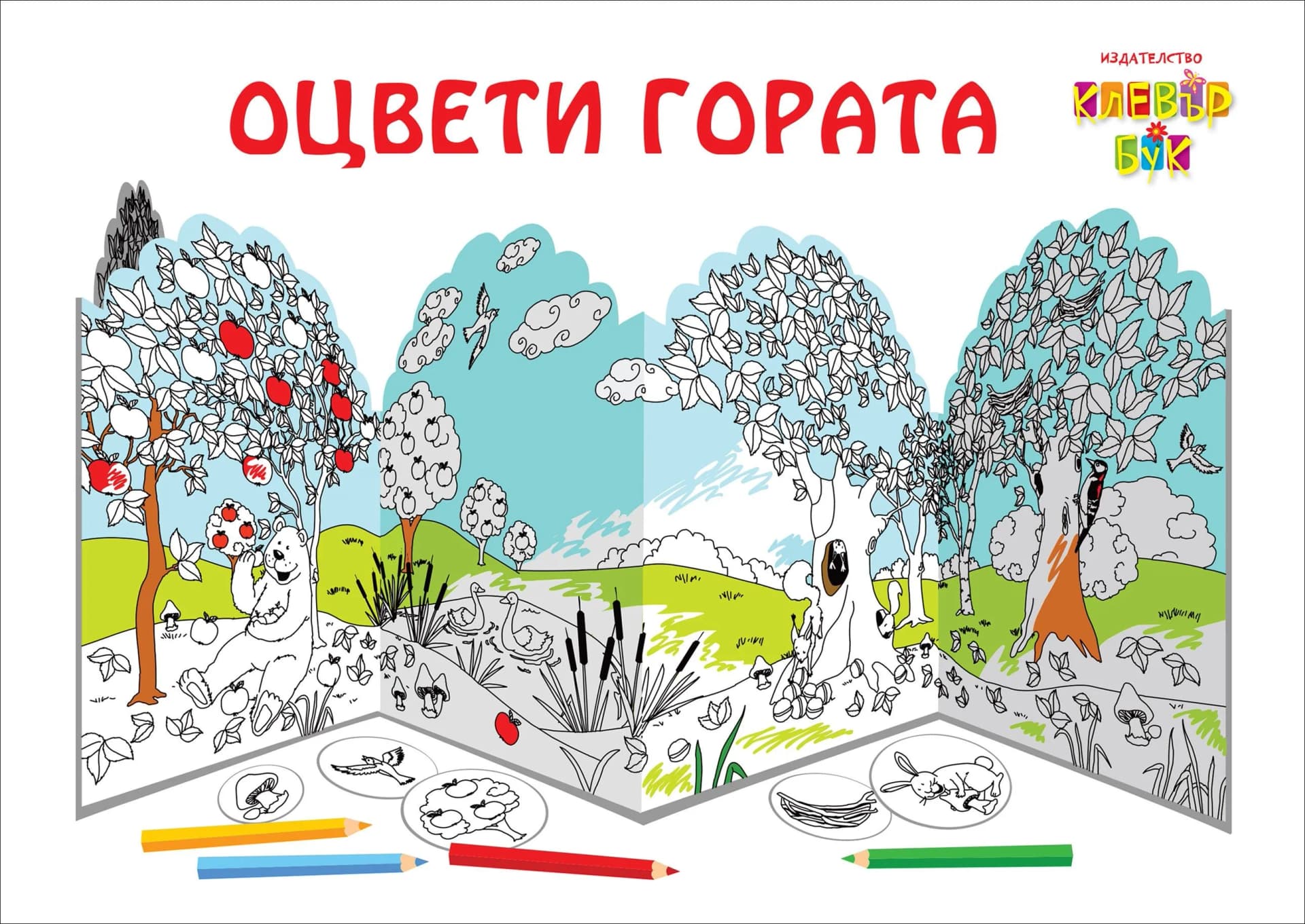 Корица на „Оцвети гората (рисувателен пакет)“
