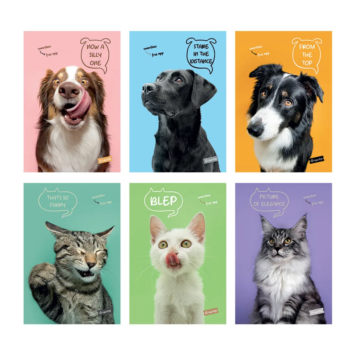 Тетрадка А4 мат/UV Pets, 40+2 л.ред 80 г/м2